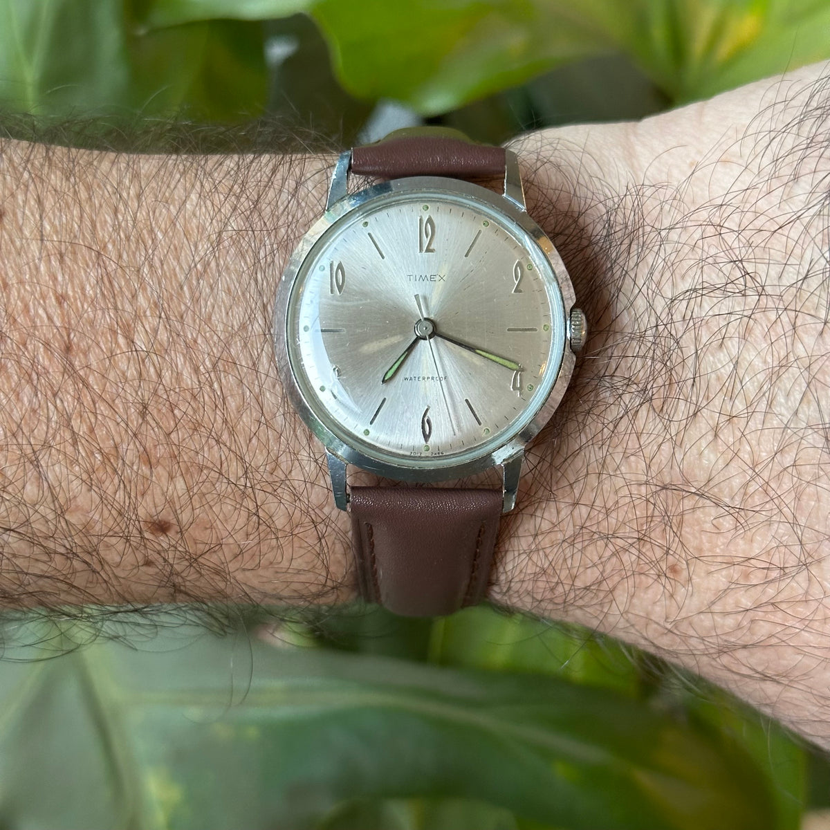 Reloj Timex Marlin Mecánico Dial Satinado Elab. en 1966 Funcionando OK MUY ESCASO — IMG_0102.jpeg
