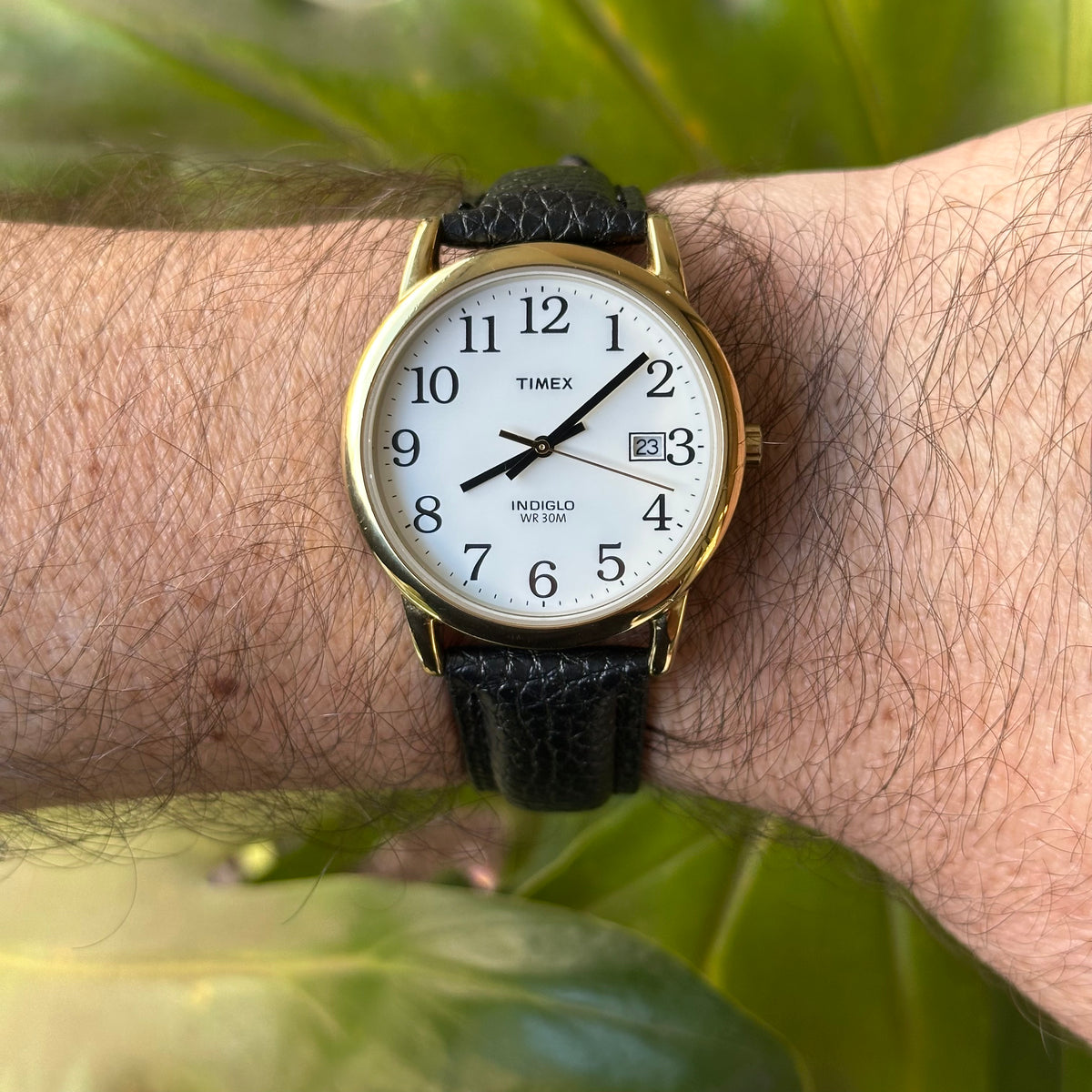 Timex Hombre Easy Reader Dorado Indiglo y Calendario Año 2007 Impecable — IMG_2920.jpeg