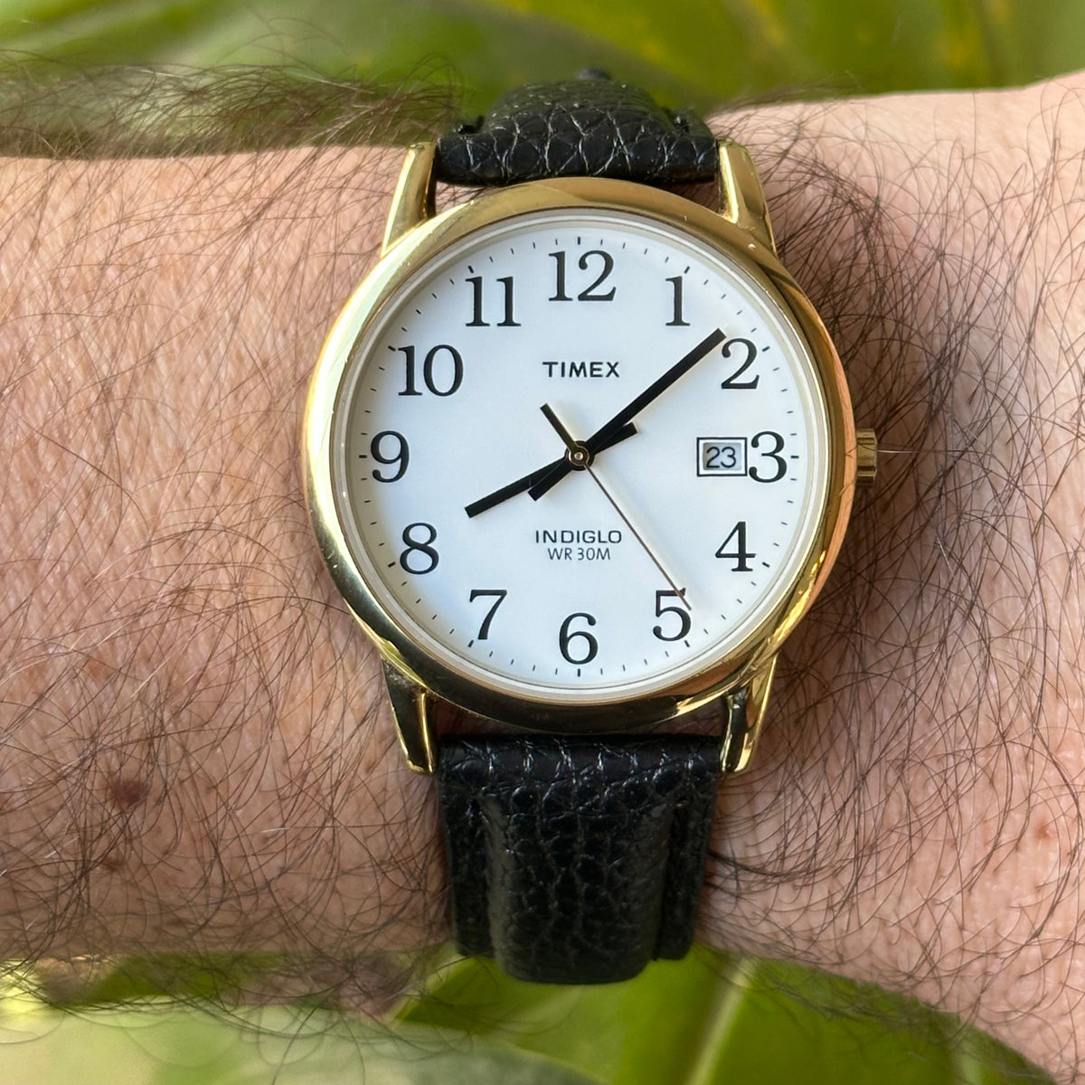 Timex Hombre Easy Reader Dorado Indiglo y Calendario Año 2007 Impecable — IMG_2924.jpeg