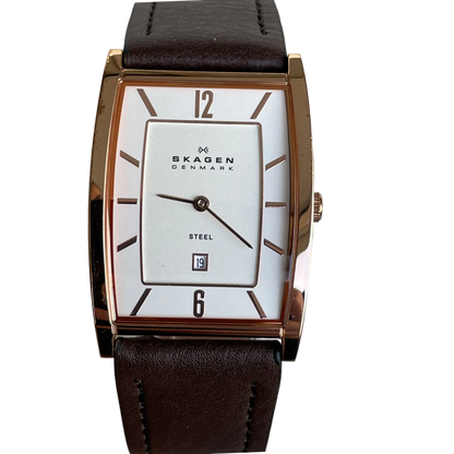 Reloj Skagen Denmark Hombre 294LRLD Año 2010 Muy Escaso