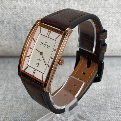 Reloj Skagen Denmark Hombre 294LRLD Año 2010 Muy Escaso