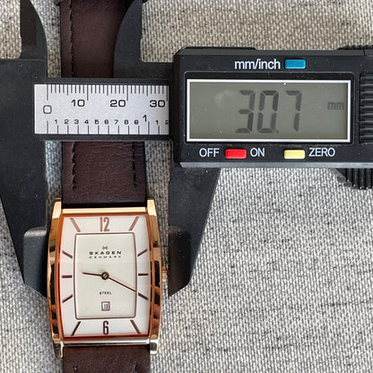Reloj Skagen Denmark Hombre 294LRLD Año 2010 Muy Escaso