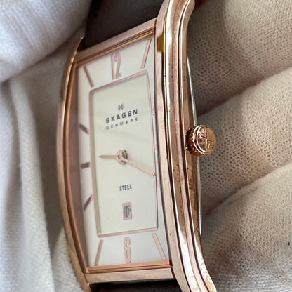 Reloj Skagen Denmark Hombre 294LRLD Año 2010 Muy Escaso