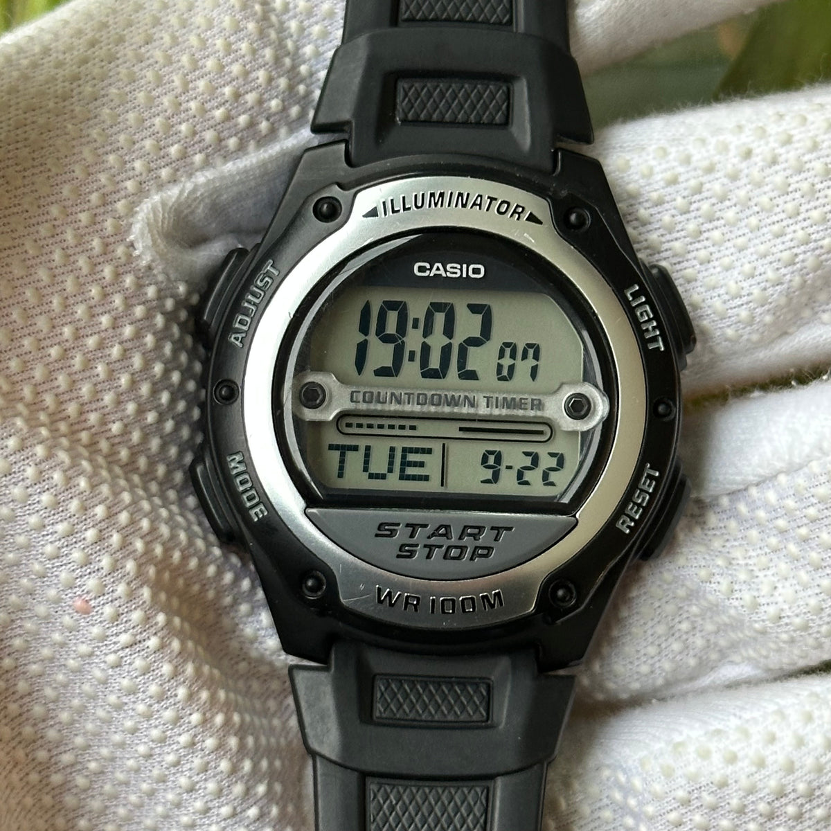 SKU 965 — IMG_8959.jpeg