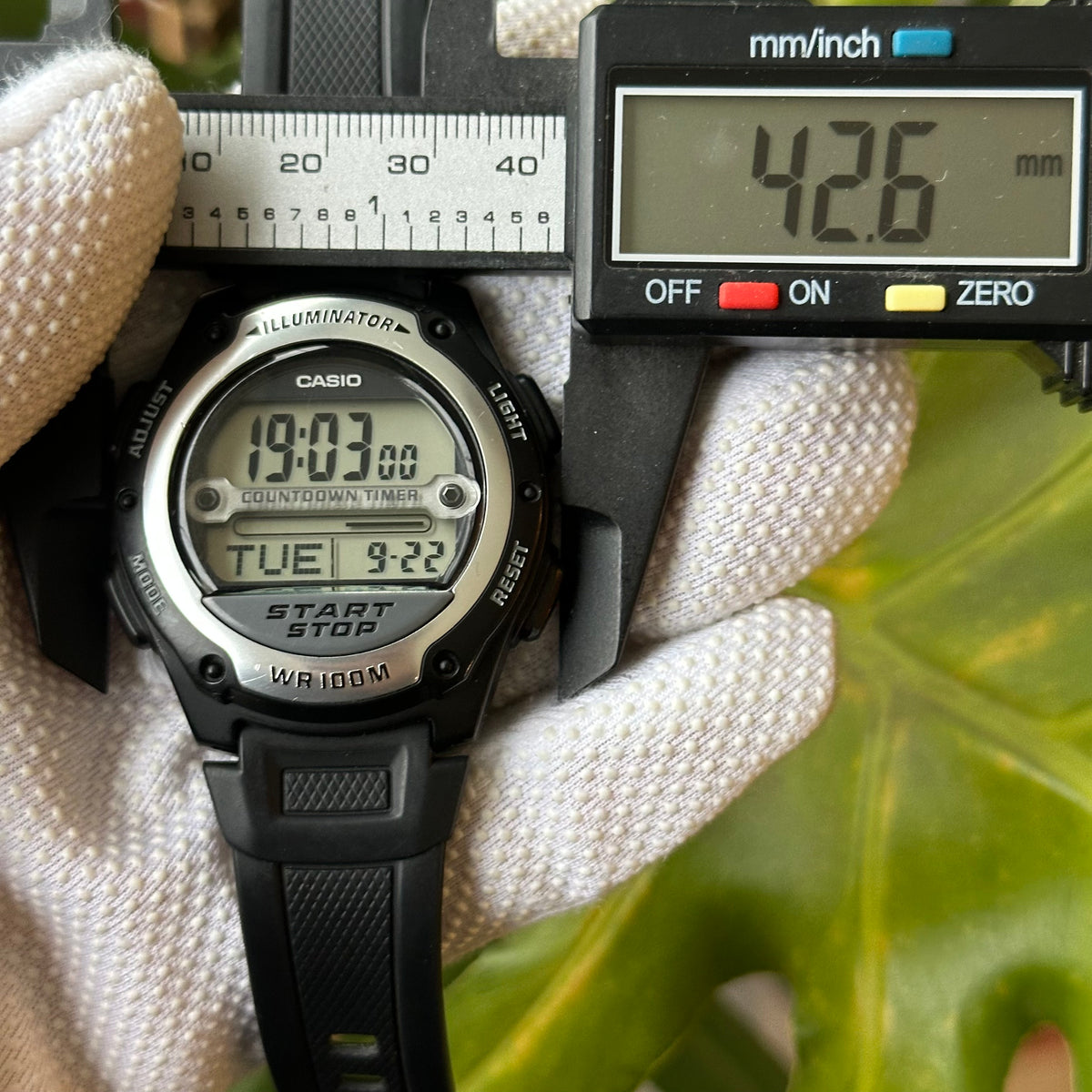 SKU 965 — IMG_8974.jpeg