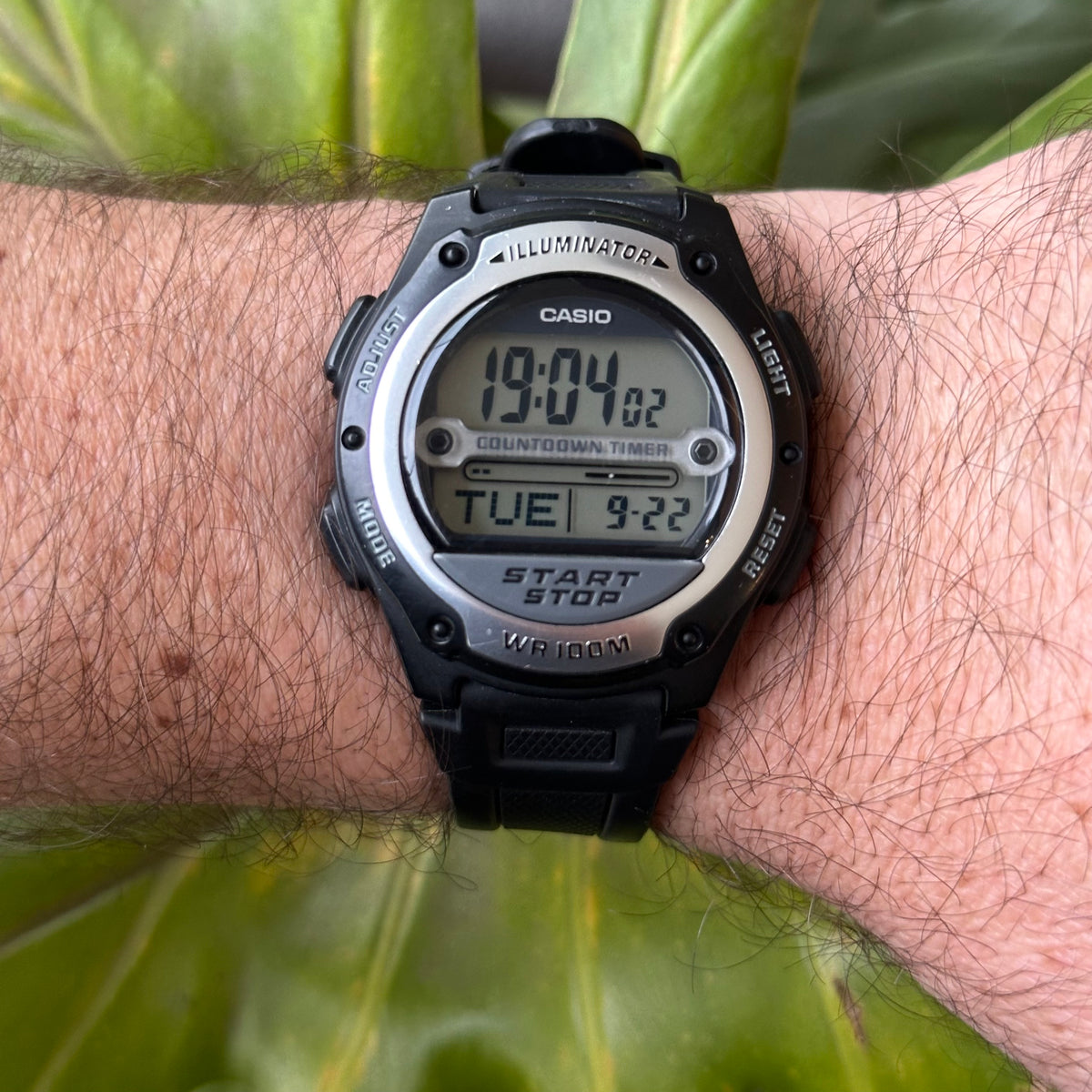 SKU 965 — IMG_8981.jpeg