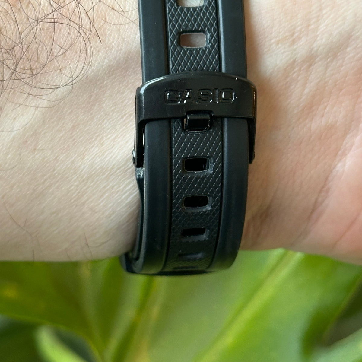 SKU 965 — IMG_8986.jpeg