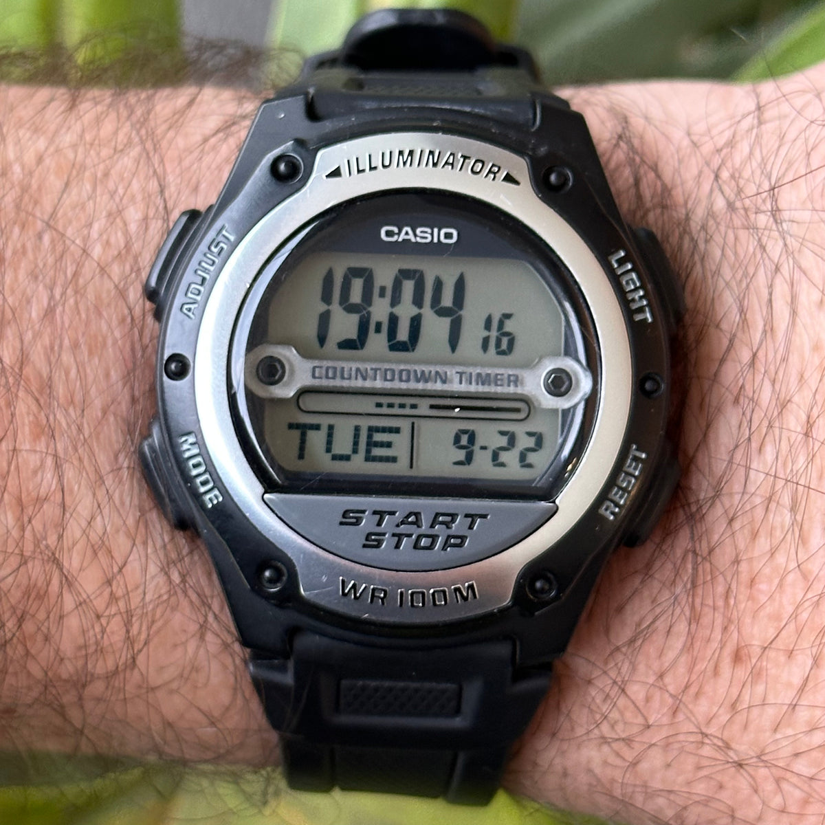 SKU 965 — IMG_8988.jpeg