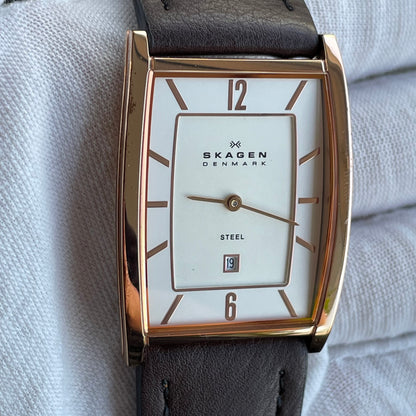 Reloj Skagen Denmark Hombre 294LRLD Año 2010 Muy Escaso