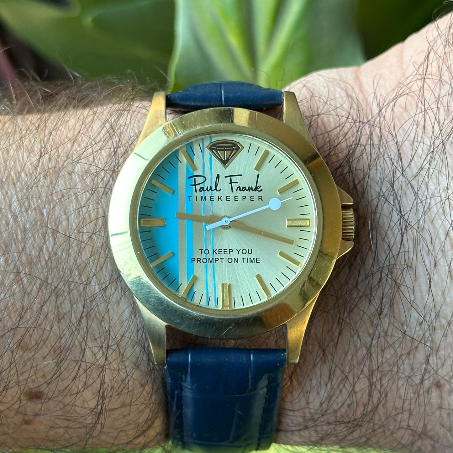 Reloj Paul Frank Timekeeper 2007 Dorado Azul RARO