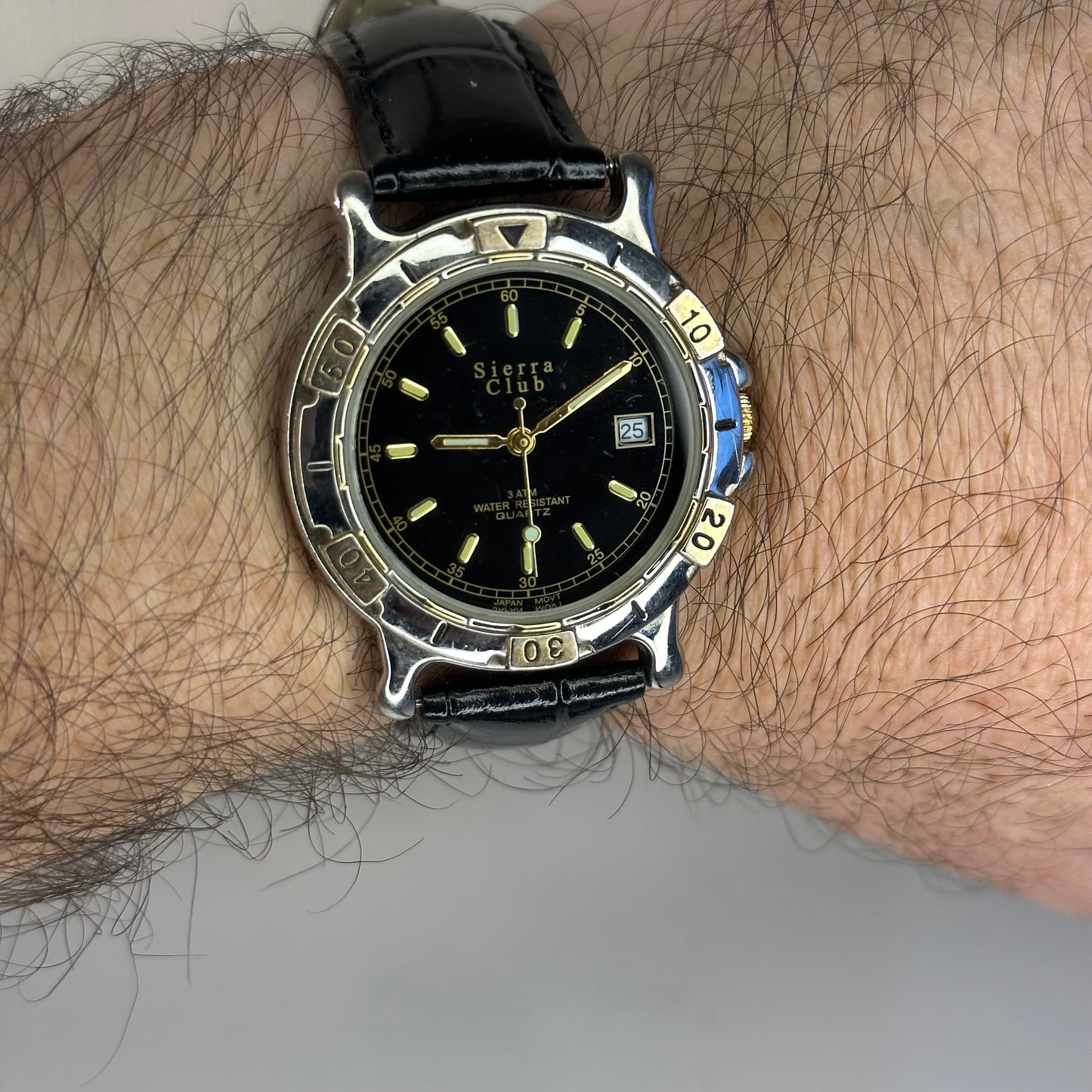 Reloj Sierra Club 4360 Quartz Date Bicolor Black Dial Japón Movt (1998)