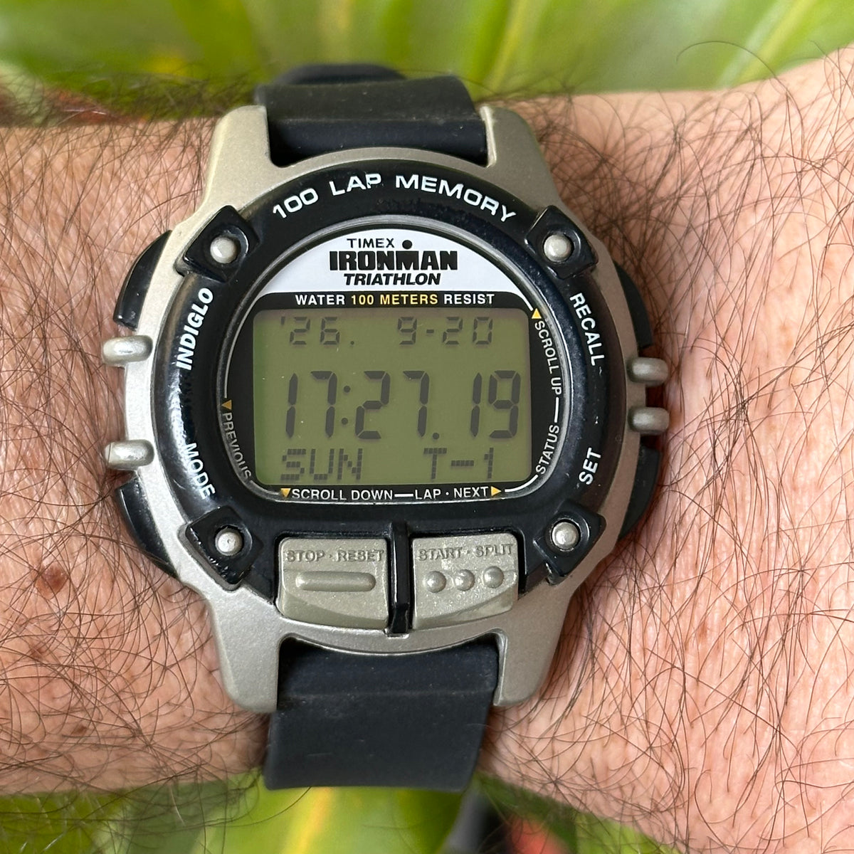 SKU 958 — IMG_8584.jpeg