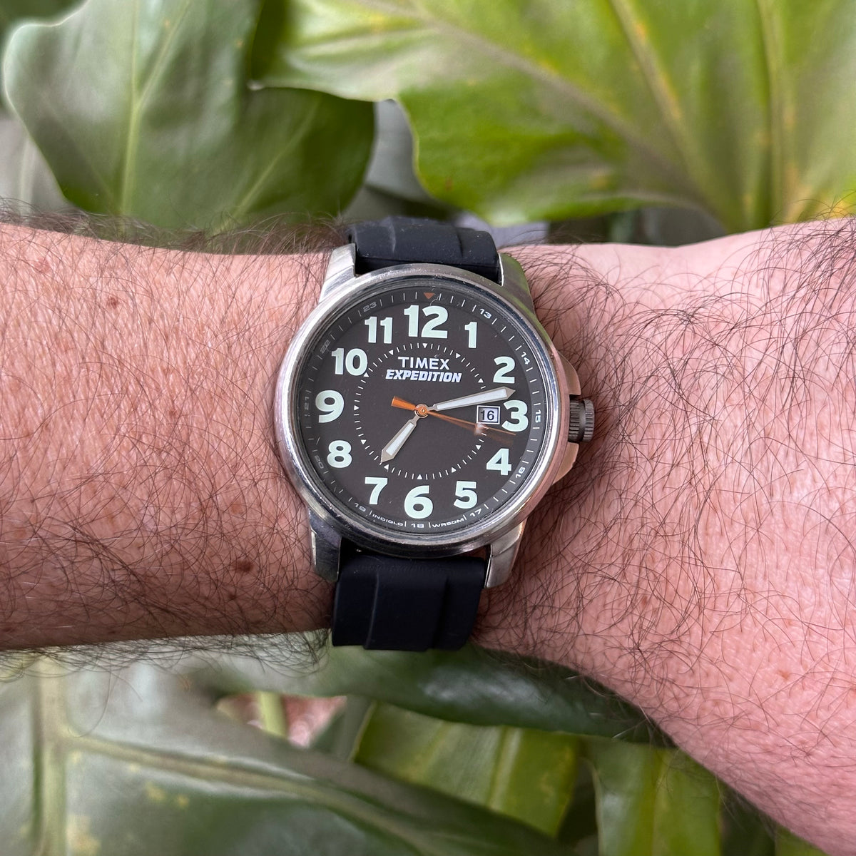 Timex Hombre Expedition de gran formato Dial iluminado Agosto 2017