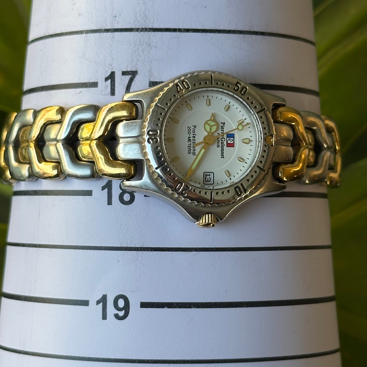 Reloj Pierre Guionnet PARIS Professional Mujer SL201W Bicolor DIVER Año 1997